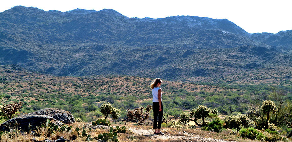 Desert wilderness Tucson